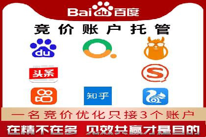 搜索引擎营销（SEM）专员的挑战与机遇
